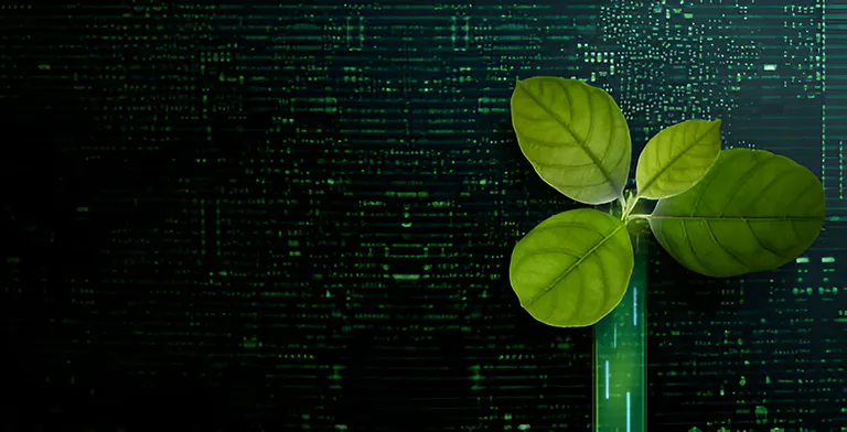 ESG: Entorno ambiental, Social y Gobernanza